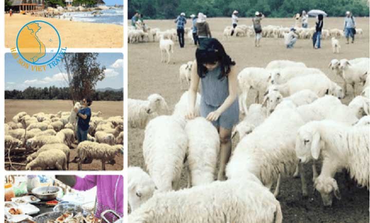 tour-long-hai-kham-pha-vuon-rau-nong-trai-cuu-1-ngay-1